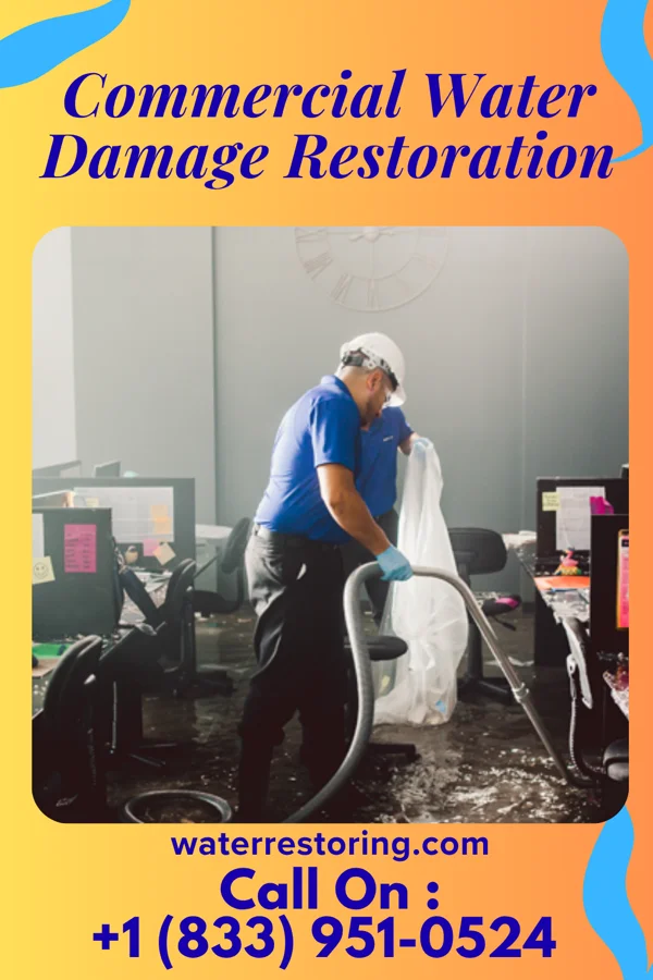 Commercial Water Damage Restoration in Stacyville, IA