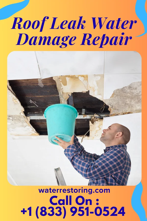 Roof Leak Water Damage Repair in Stacyville, IA